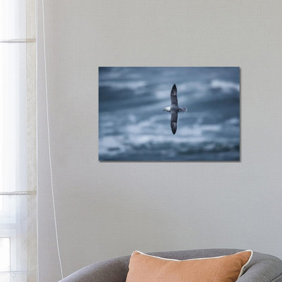 Above The Waves by Mateusz Piesiak - Wrapped Canvas Print