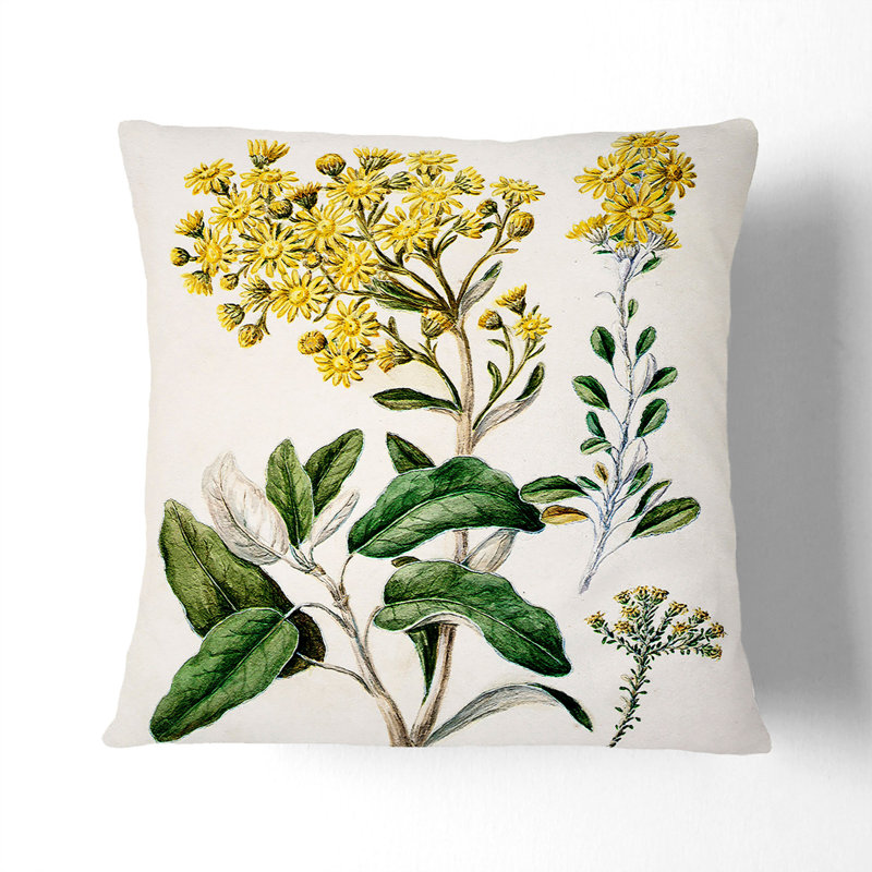 Daisy Brachyglottis Flowers Square Throw Cushion, 55cm H x 55cm W x 20cm D