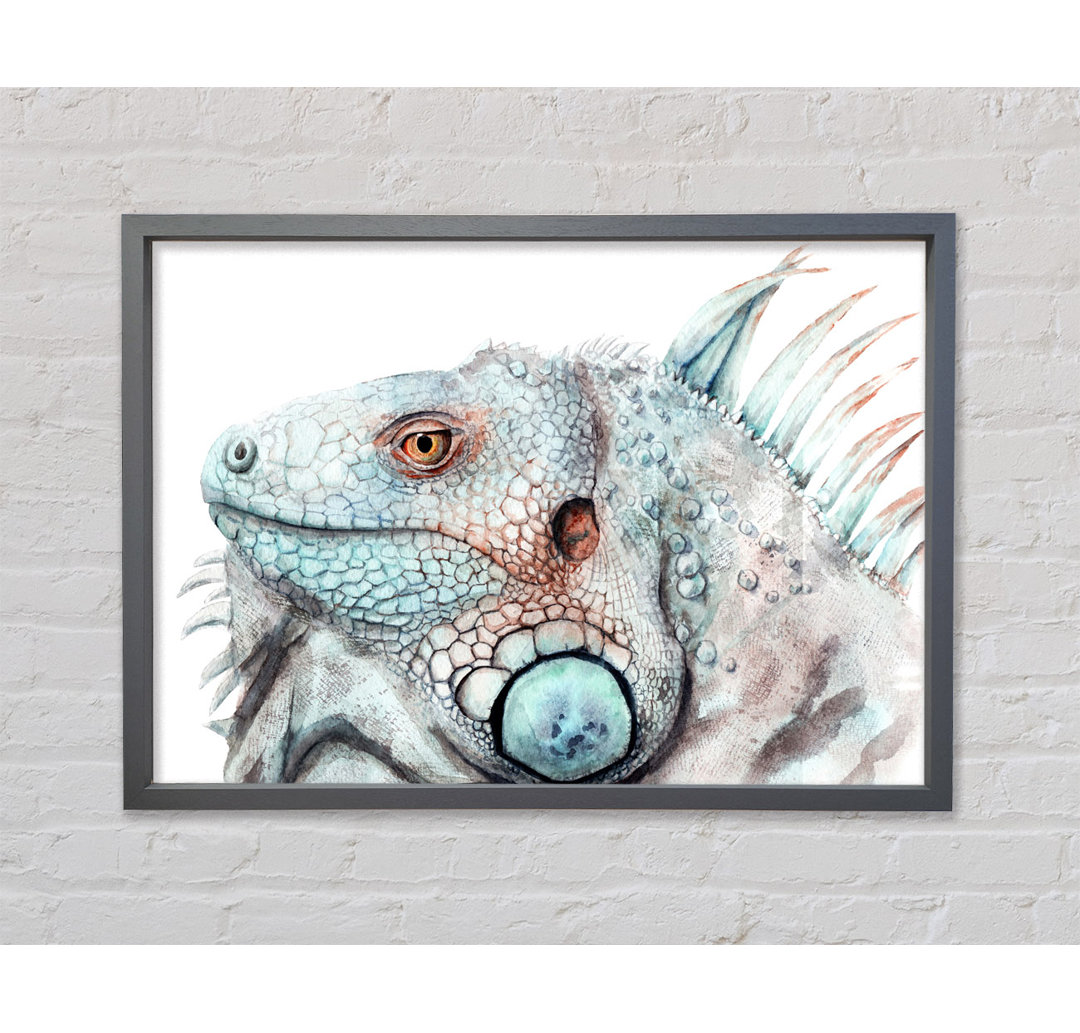 Iguana Stare - Einzelner Bilderrahmen Kunstdrucke auf Leinwand