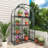 3.2'W x 1.4'D ×5.2'H Small Hobby Greenhouse