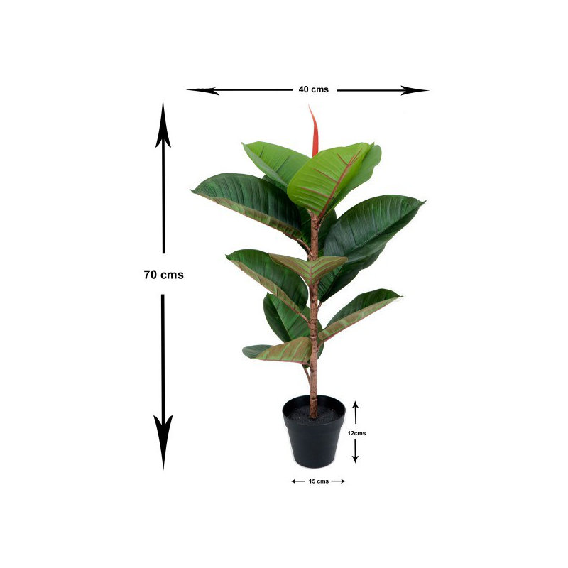 130cm Plant