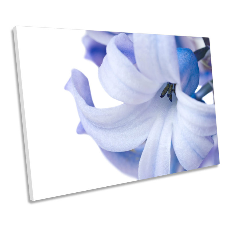 Hyacinth Floral Flower - Wrapped Canvas Art Prints, 30.5cm H x 45.7cm W