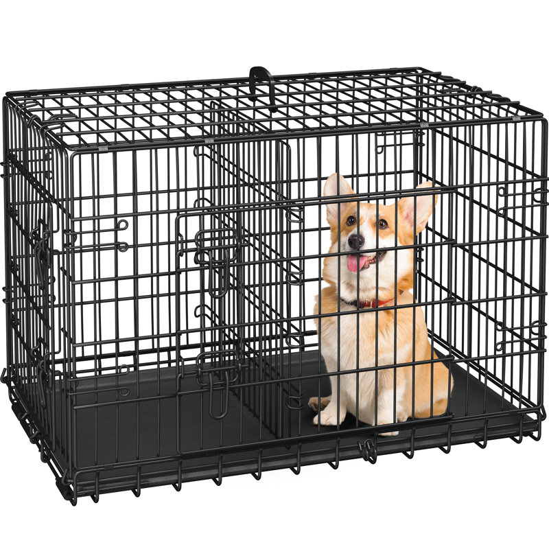Cage pour chien de taille moyenne avec cloison, H 25 po x l 36 po x P 22,5 po