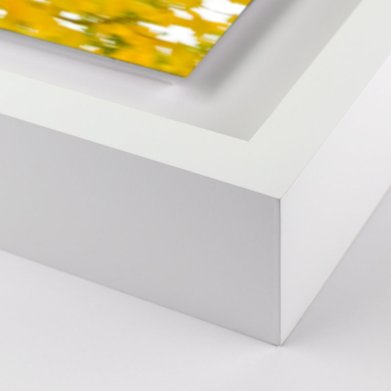 Yellow Trees Print by Geoffrey Baris, 19" H x 24" W x 1.5" D, White