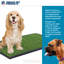Ensemble de démarrage pour nouveau chien Cieanna-69266887