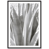 Muted Cactus Print by Carly Tabak