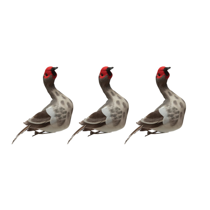 Ornement suspendu Muscovy Duck
