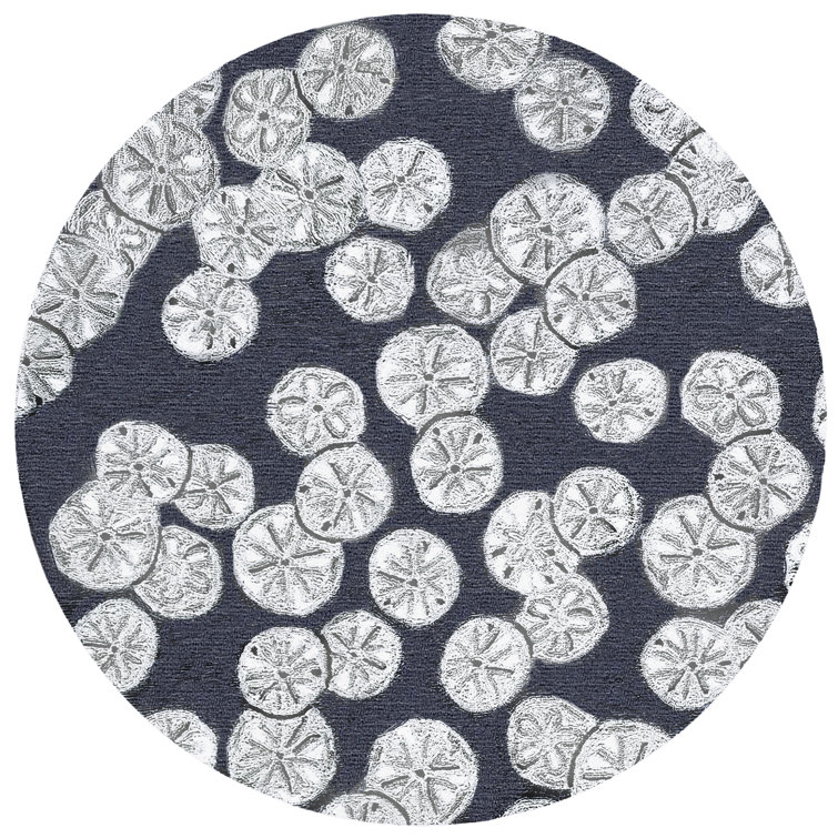 Anjuman Area Rug