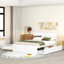 Structure de lit avec lit gigogne simple et 2 tiroirs ultrabrillants-313238397