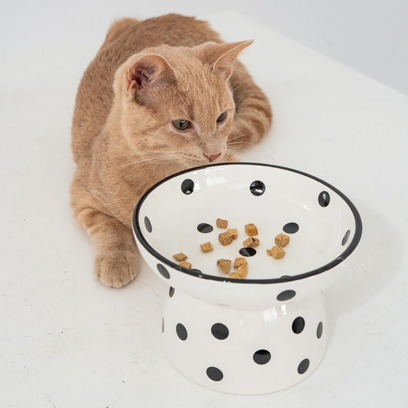 Dexypaws: bol pour chat surélevé en céramique - à pois - 8,7 oz, repas élégant pour animaux de compagnie, repas, nourriture et eau, hauteur ergonomique, surélevé