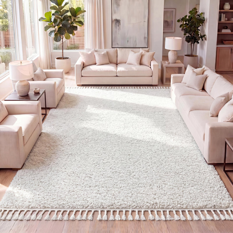 Tapis blanc à poil long et pampilles Felicdad, Rectangle 3 pi 1 po x 5 pi