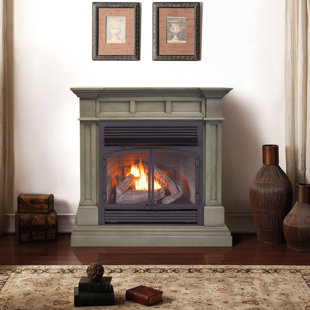 ProCom 45'' W Ventless Natural Gas / Propane Fireplace | Wayfair