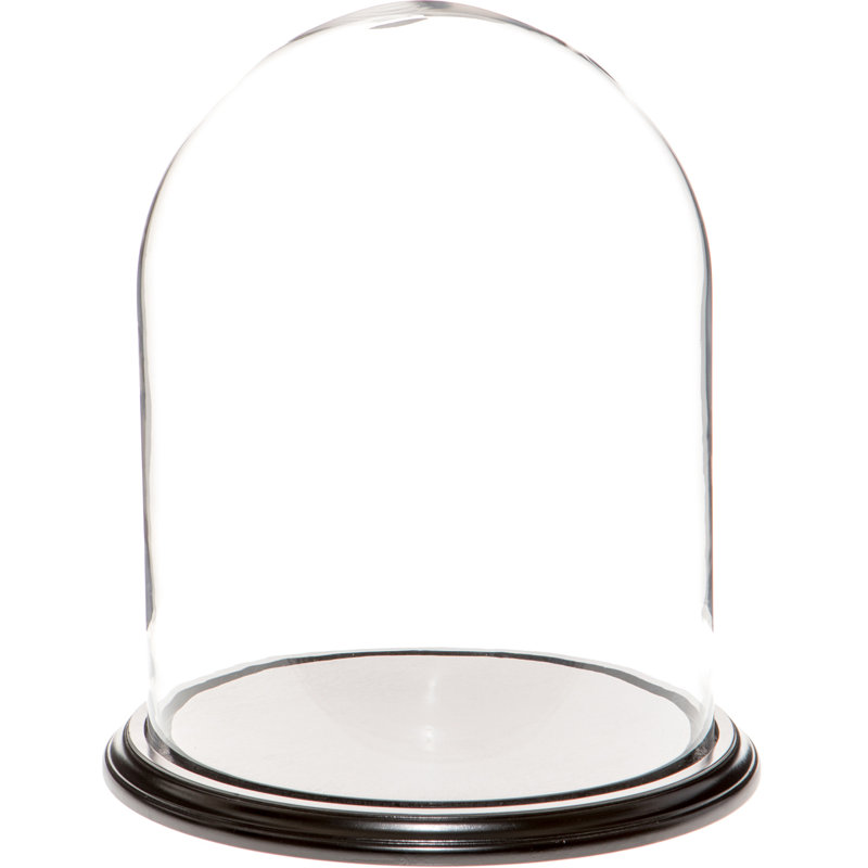 Cloche en verre Vucciria, Base en placage de bois noir, H 20 po x l 9,75 po x P 9,75 po