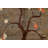 Vegetable Dye Abstract Oriental Area Rug 7x10
