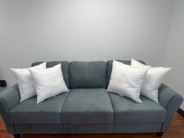 Reversible Pillow Insert