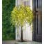 Artificial Willow Tree-1747357833