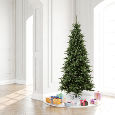 Fir Christmas Tree