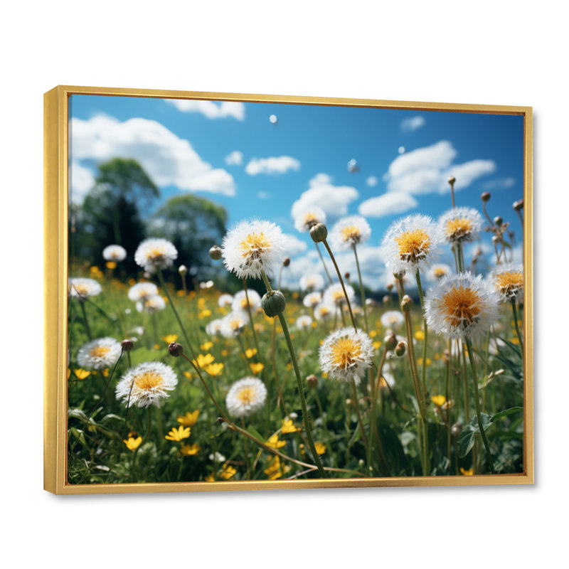 " Mountain Dandelion Field I ", 34" H x 44" W x 1.5" D, Gold Floater Framed