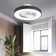 19.6'' Ceiling Fan with LED Lights