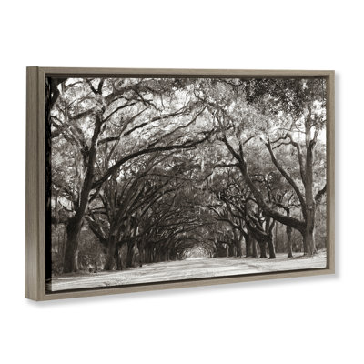 Cadre flottant Georgia Stroll Tree Tunnel, design par Nathan Larson