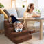 Escalier pour animaux en mousse haute densité 5 marches Grommit-31132796