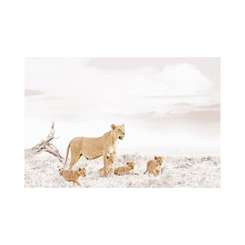 White Lioness & Cub 1 Piece Wrapped Canvas Wall Art, 30.48 cm H x 45.72 cm W