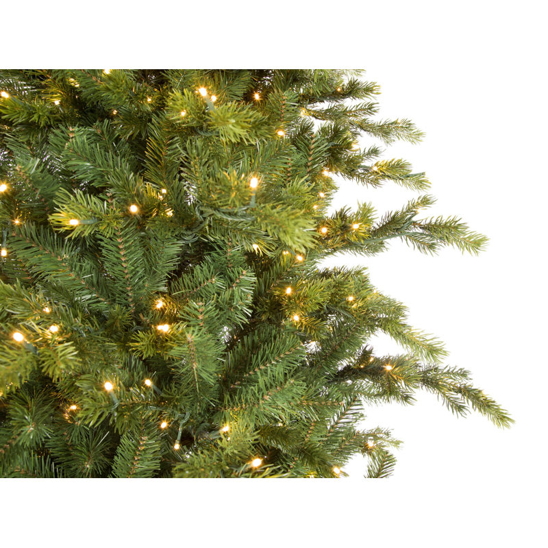 Douglas Lighted Artificial Fir Christmas Tree, 9'