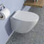 Toilette murale une pièce Rainlex RX-T39W
