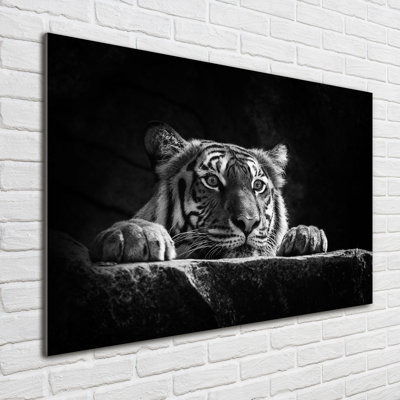 Tiger 1 Piece Wall Art on Glass
