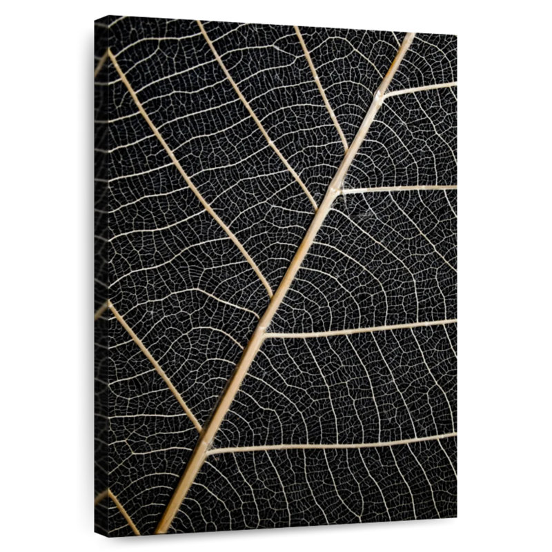 Harnek Leaf Veins, 12" H x 8" W