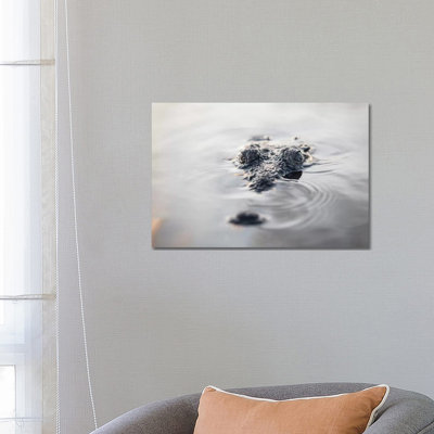 A Large American Crocodile Surfaces In A Lagoon by Ethan Daniels - Wrapped Canvas Print