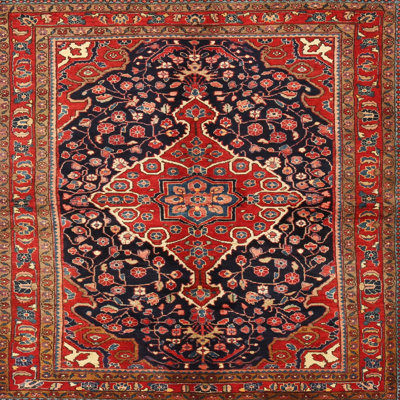Oriental Indoor Rug