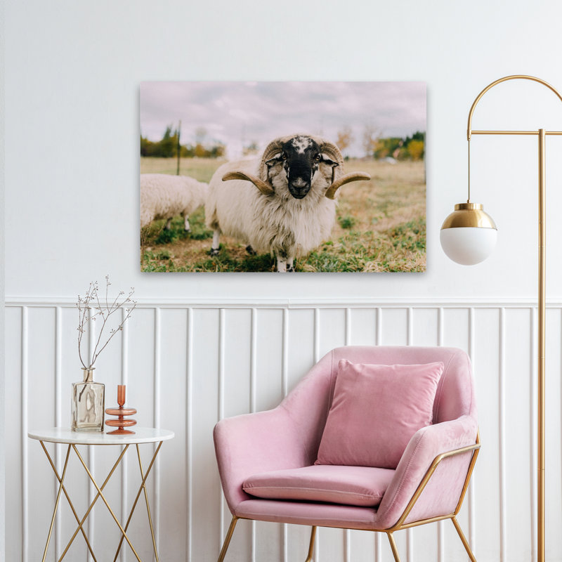 Chèvre, nature, photographie animalière, art contemporain, H 36 po x l 24 po