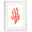 Reproduction d’art sur toile, "corail varech ii" par paul cezanne-cadre photo-1670890549-1670890557
