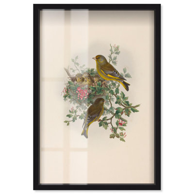 «Poem of New Life Shadowbox», reproduction d'art botanique par Art Remedy