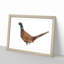 Pheasant Bird in Winter - Framed Print-56704610-56704614