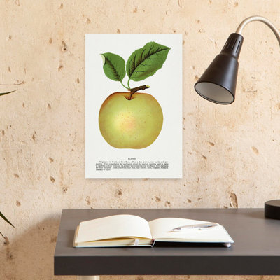 Pomme de lin Mann