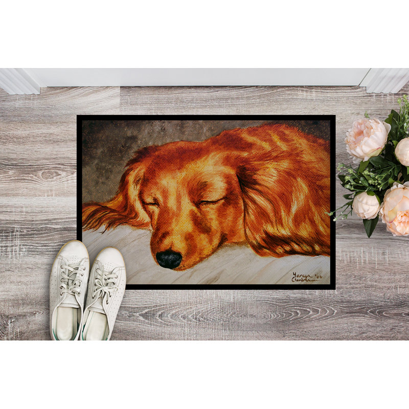 Tapis de porte pour l’extérieur antidérapant lolonghaired teckel, Rectangle 1 pi 6 po x 2 pi 3 po
