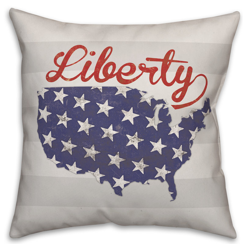  Square Pillow Cover and Insert