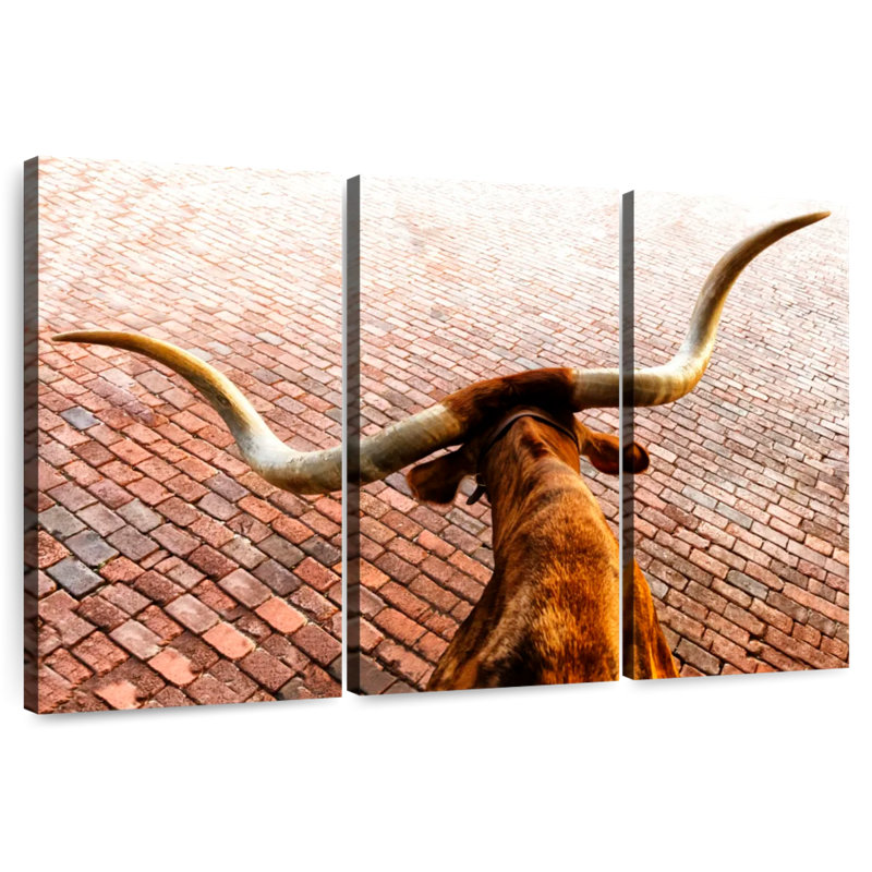 Brampt de Brampt, Texas, en ville, H 28 po x l 45 po