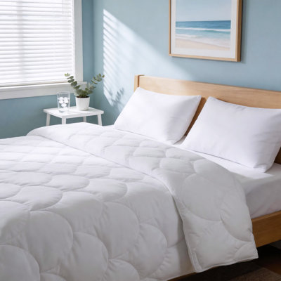Premium All-Season Down Comforter –100% Cotton Shell, Soft & Breathable for Year-Round Comfort