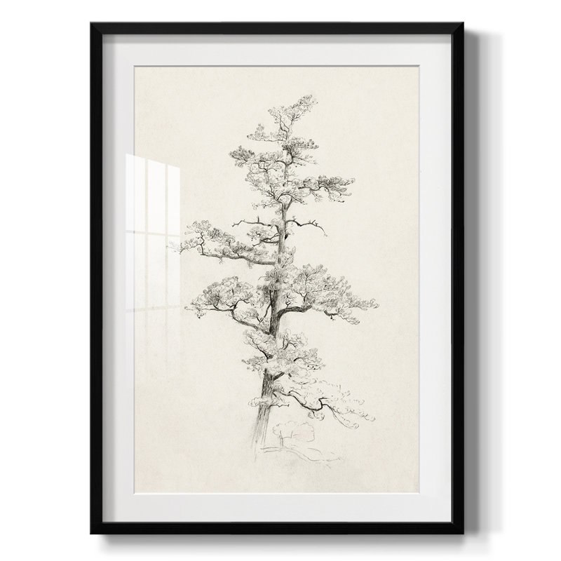 Vintage Sketch XC -Framed Print
