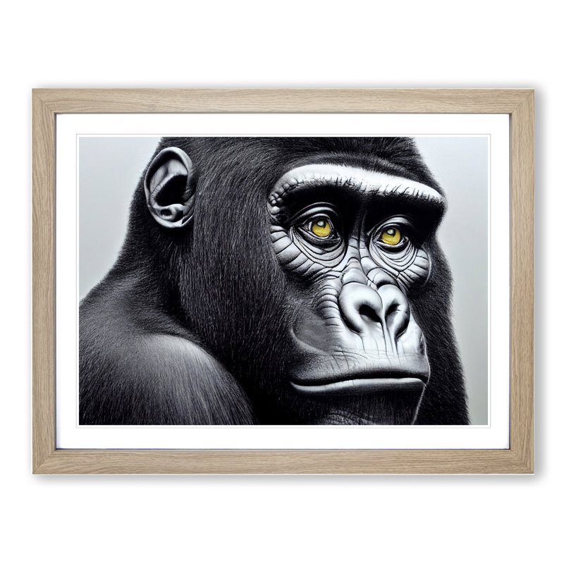 Astonishing Gorilla - Single Picture Frame Print, 25cm H x 34cm W x 2cm D, Oak Framed