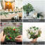 Arrangement floral de baies d'eucalyptus