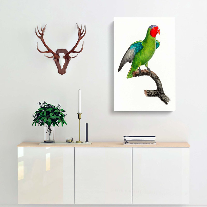 A Red-Cheeked Parrot by F. Levaillant - Wrapped Canvas Painting, 60cm H x 40cm W x 3cm D