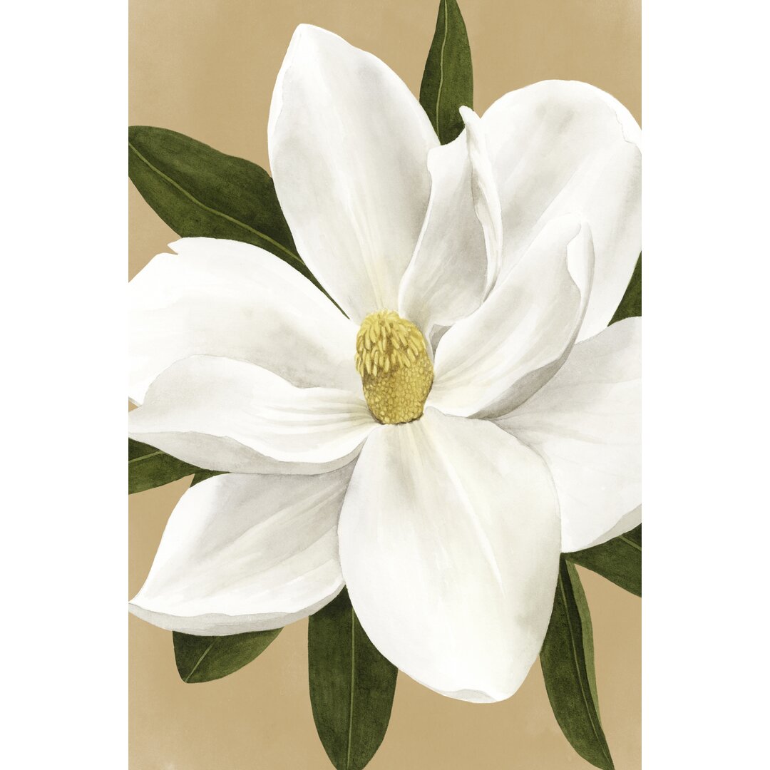 Leinwandbild Magnolia On Gold I