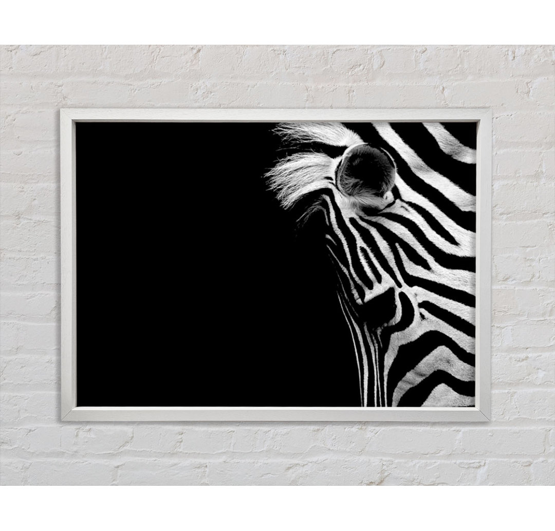 Trauriges Zebra - Druck