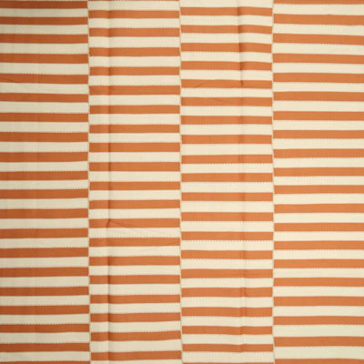 Striped Indoor Rug
