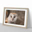 Barn Owl Vol.1 - Picture Frame Painting-62747787-62747782