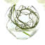 Orchid Arrangement in Round Glass Vase with Vines-145508290